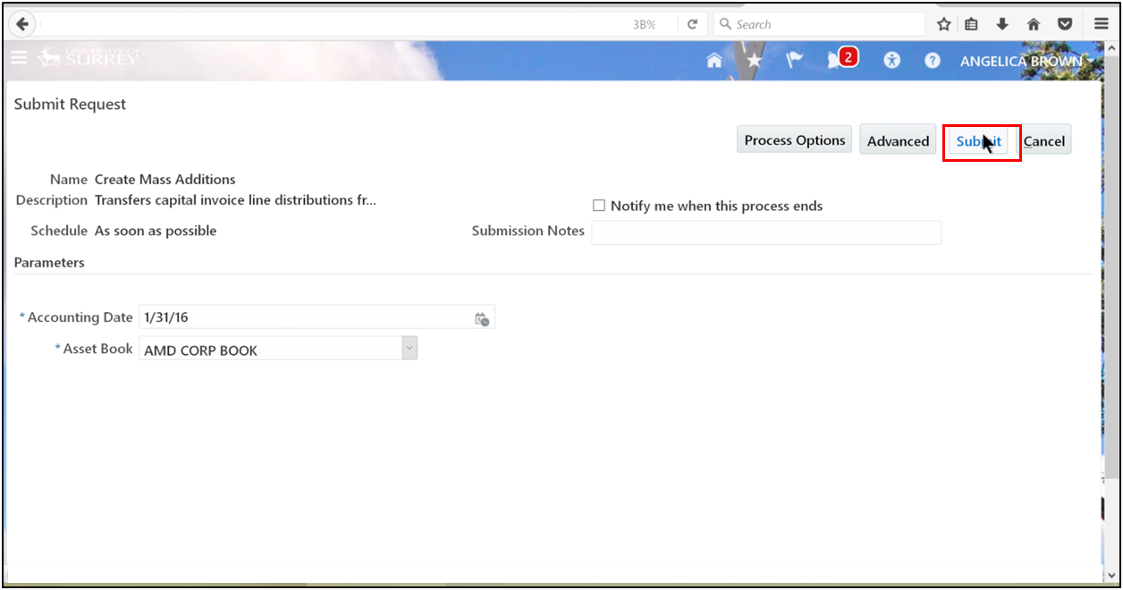 Submitting the process in a fixed asset accounting system