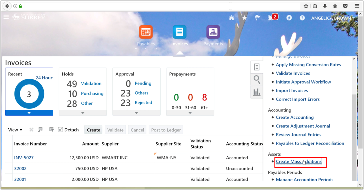 Create a mass additions process in fixed asset accounting software