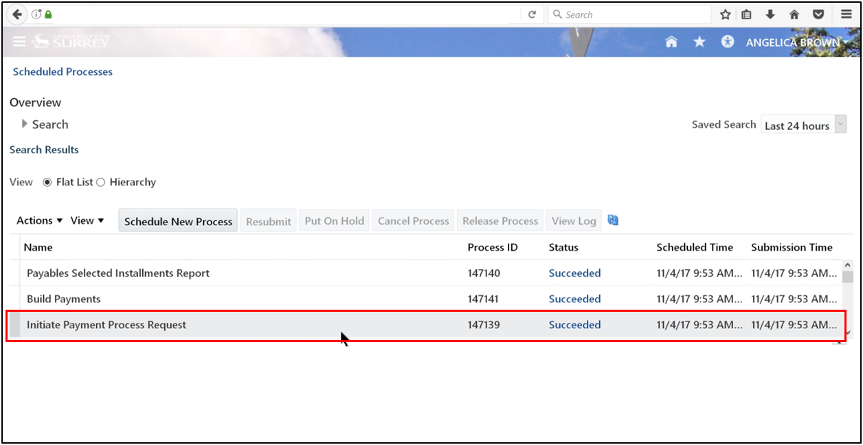 Payment Process Request shows Succeeded status in Oracle Fusion Accounts Payable after successful submission.
