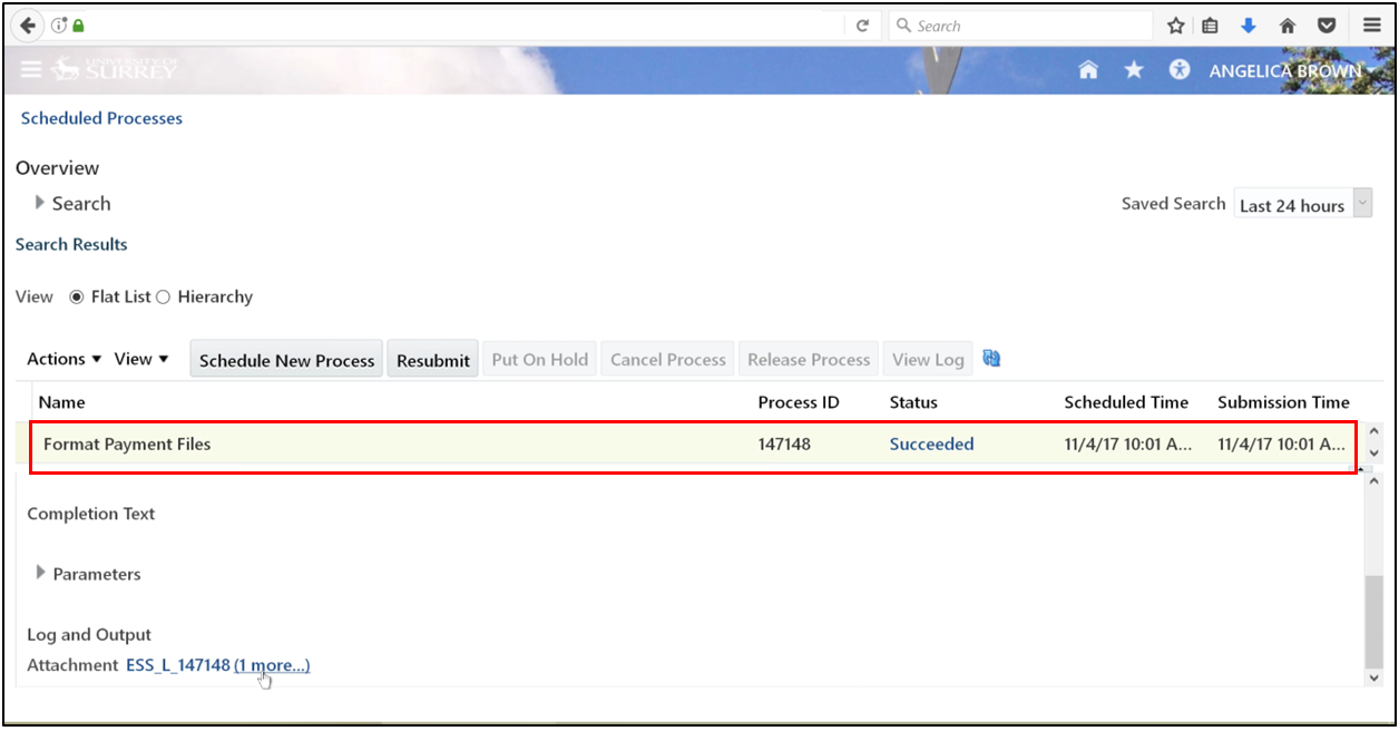 Clicking More to access additional payment file options.