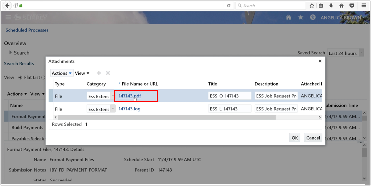 Select the PDF format for payment file output.