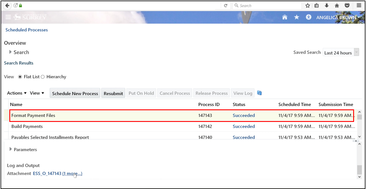 Selecting the payment file format and clicking More in Oracle Fusion Accounts Payable.