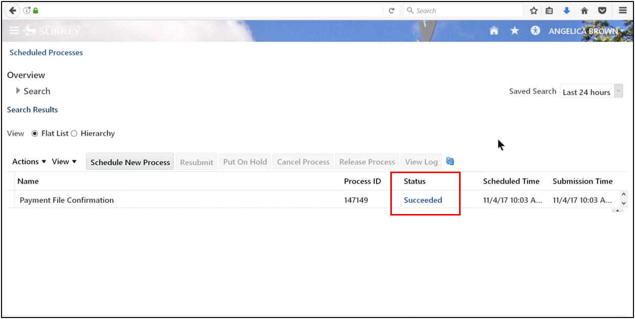 Refresh the page until the process status changes to Succeeded.