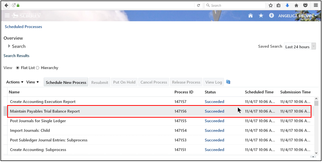 Refreshing the process page until the status shows "Succeeded" in Oracle Fusion.